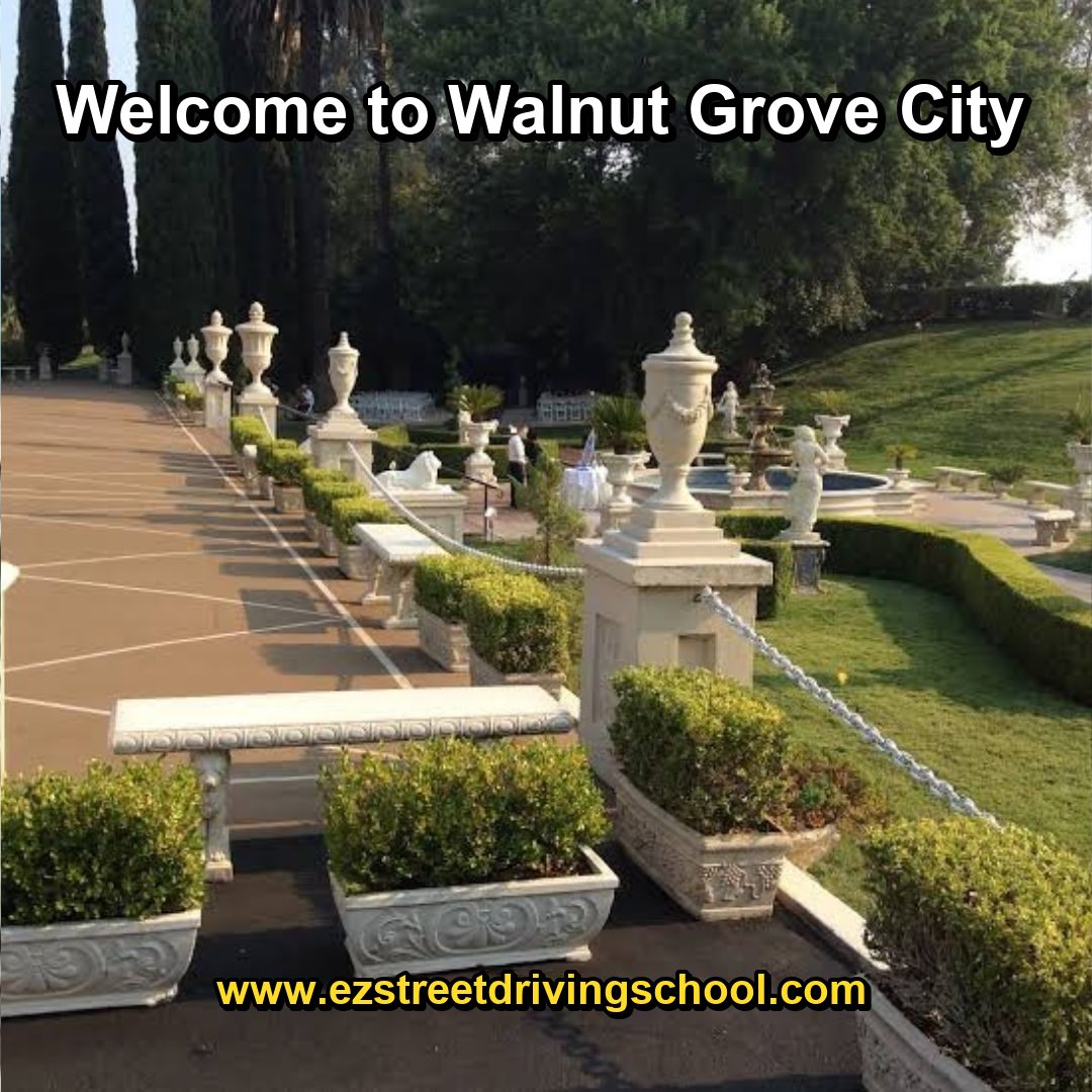 Driving Lessons in Walnut Grove